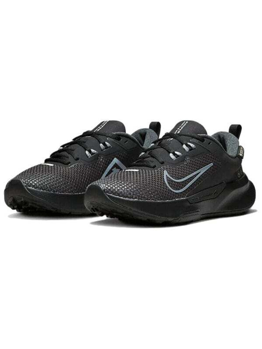 Кроссовки Nike Pegasus Trail 4 Gtx Waterproof 'Black' Women's