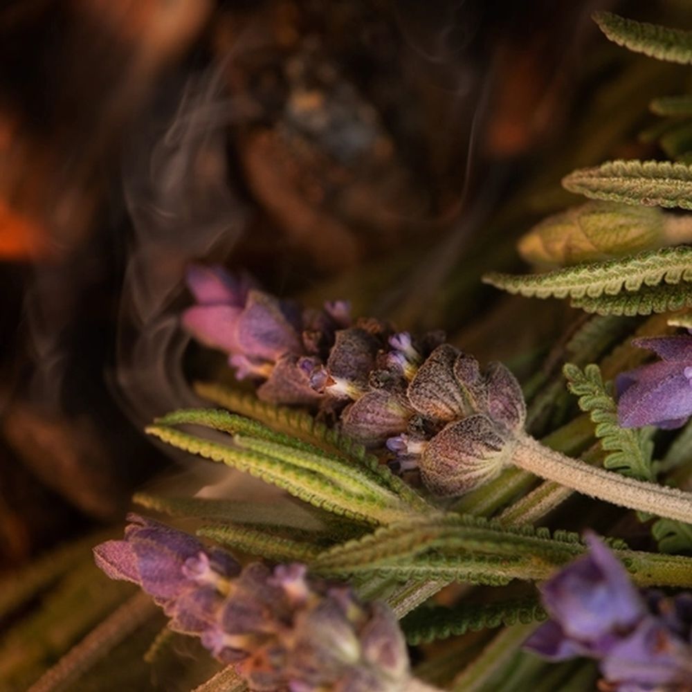 Дымная лаванда (Lavender Embers)