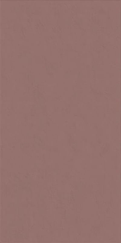 Настенная плитка WIDE&STYLE MINI PAPRIKA RET (PF60008237)