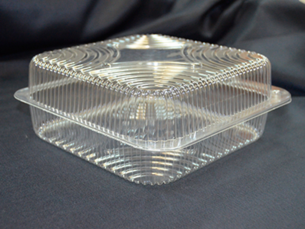 Контейнер пластиковый 18 х 18 х 8 см