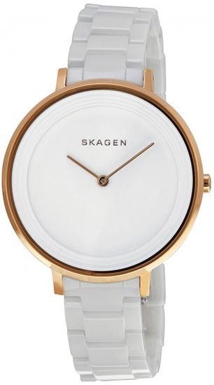 Женские часы Skagen SKW2316