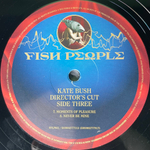 Kate Bush ‎– Director's Cut 2LP (Европа 2011г.)
