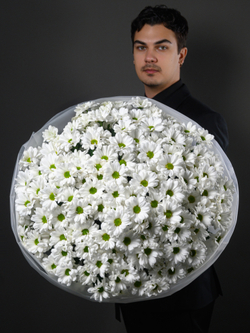 Моно букет из 25 хризантем ромашка