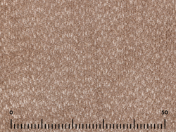 Шенилл Стелла алмонд (Stella almond)