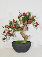 Бонсай Гранат 70см в кашпо