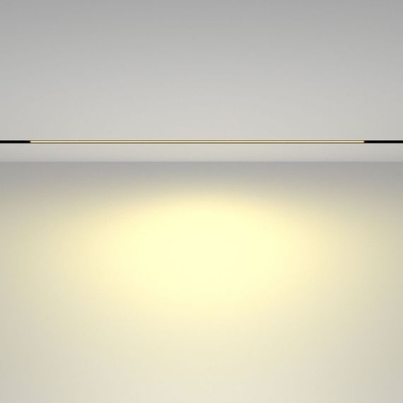 Трековый светодиодный светильник Maytoni Technical Basis TR030-2-30W2.7K-B