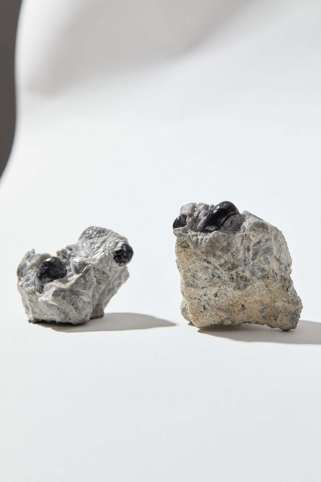 Обсидиан «Слёзы Апачей» кристалл на породе L