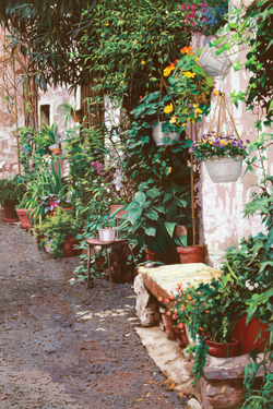 Коллекция Города и страны