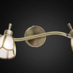 Citilux Альтен CL522521 Спот поворотный Бронза