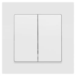 Переключатель Intro Accent 6-107-01М двойной, 10А-250В, IP20, СУ, AL/CU, белый матовый