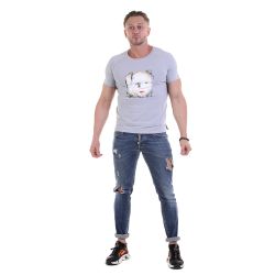 Мужская футболка с круглым вырезом серая с принтом Sesmik O007