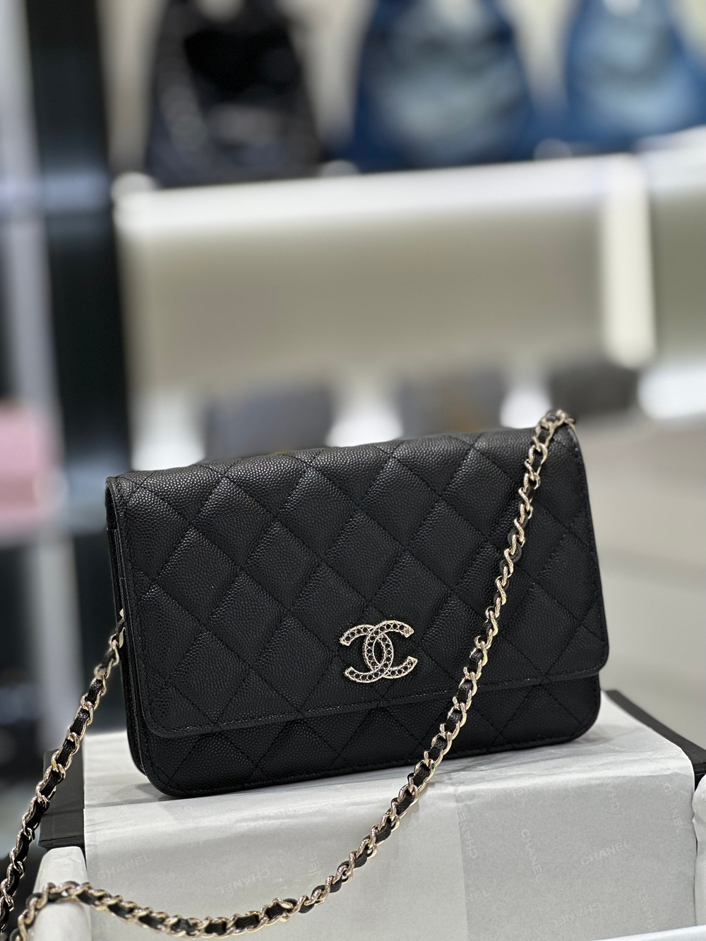 Chane1 WOC 19 cm
