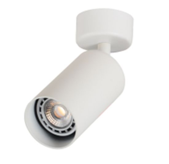 1031W/1 WHITE (1/30) Светильник