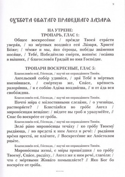 Неделя Ваий. Вход Господень в Иерусалим. Песнопения двунадесятых праздников