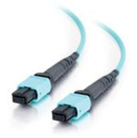 MPO (male)-MPO (male)
