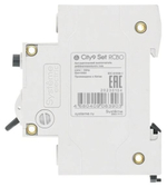 Автомат дифференциальный Systeme Electric C9D55632