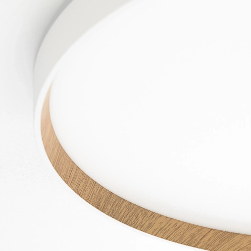 Потолочный светодиодный светильник Citilux Etalon CL750500R