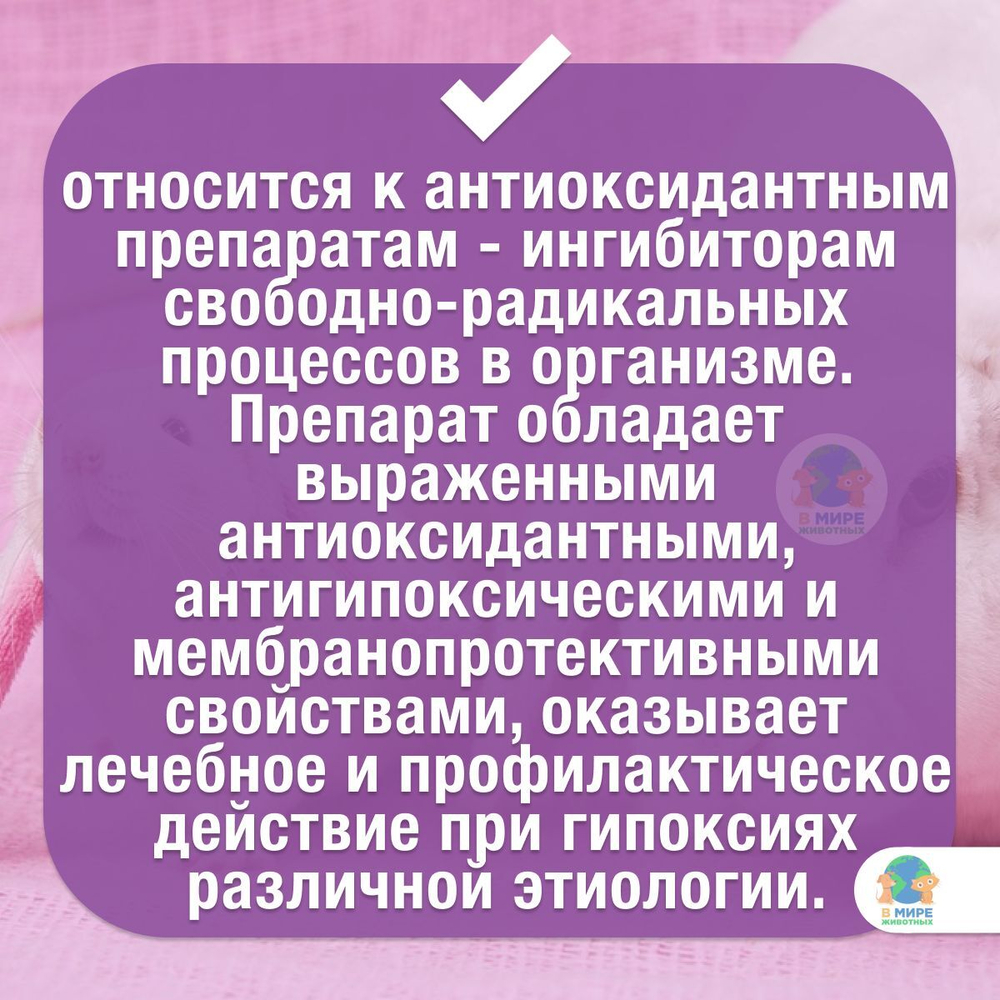 Эмидонол 20%, раствор для инъекций, препарат для лечения сердечно-сосудистой системы кошкам, собакам и крысам, 20 мл. Эмидонол.