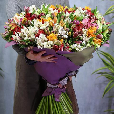 Букет из 101 альстромерии