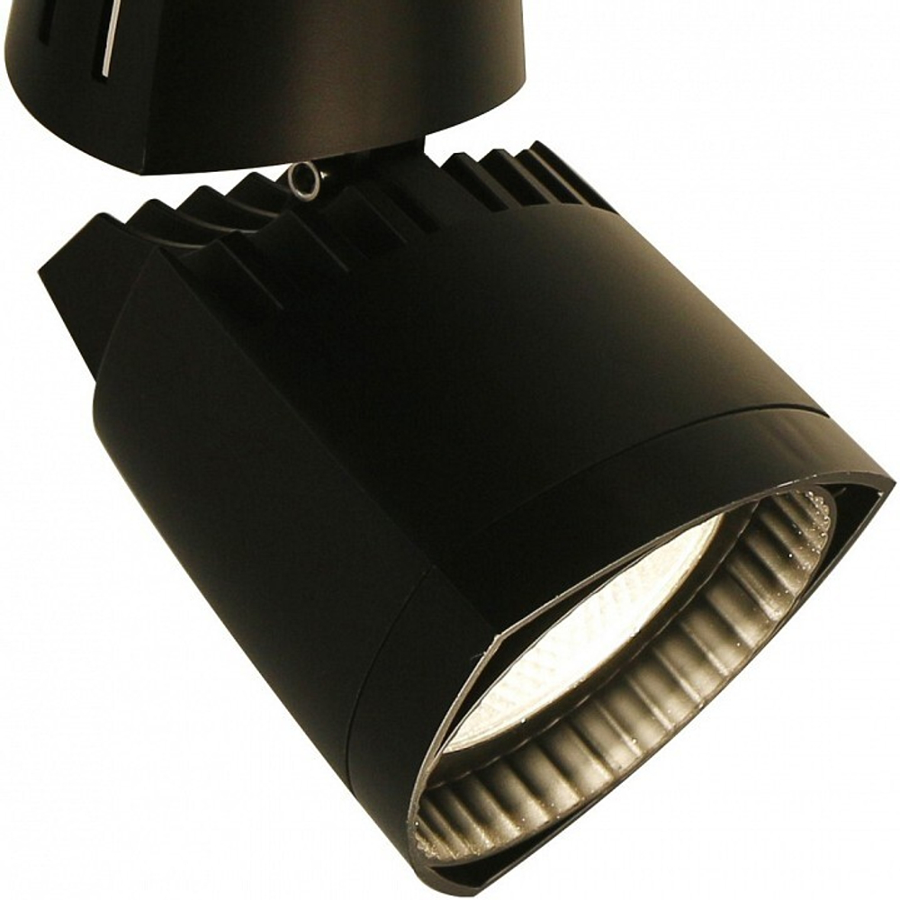 Светильник на штанге Arte Lamp 3830 A3830PL-1BK
