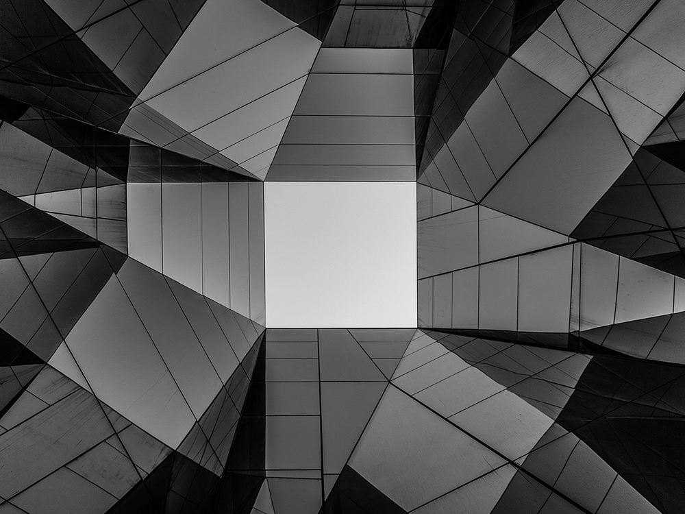 Дизайнерские обои Wall Street Bird see