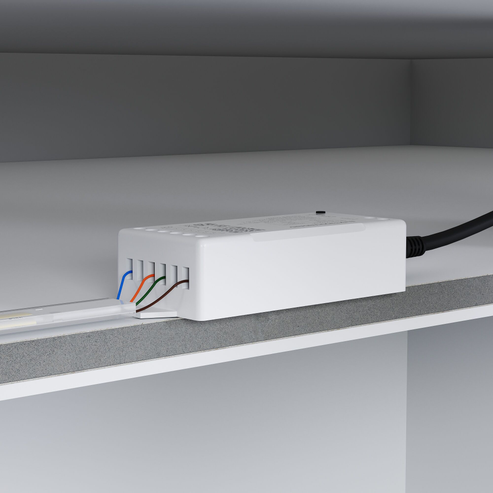 Контроллер-выключатель Elektrostandard Аксессуары для светодиодных лент 12/24V Умный дом a055255