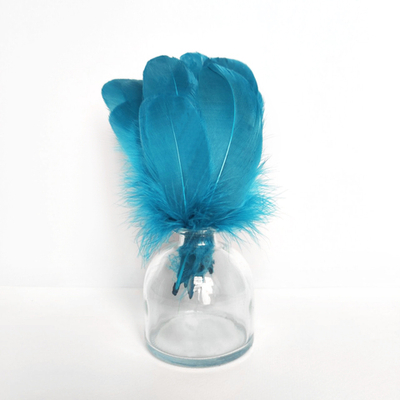 Гусиные перья голубые скругленные 20шт.