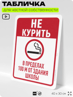 Табличка для частной территории "Не курить в пределах 100 м от здания школы", на дом, для участка, для подъезда, организаций и частных территорий, 40х30 см, Silver Plane x Айдентика Технолоджи