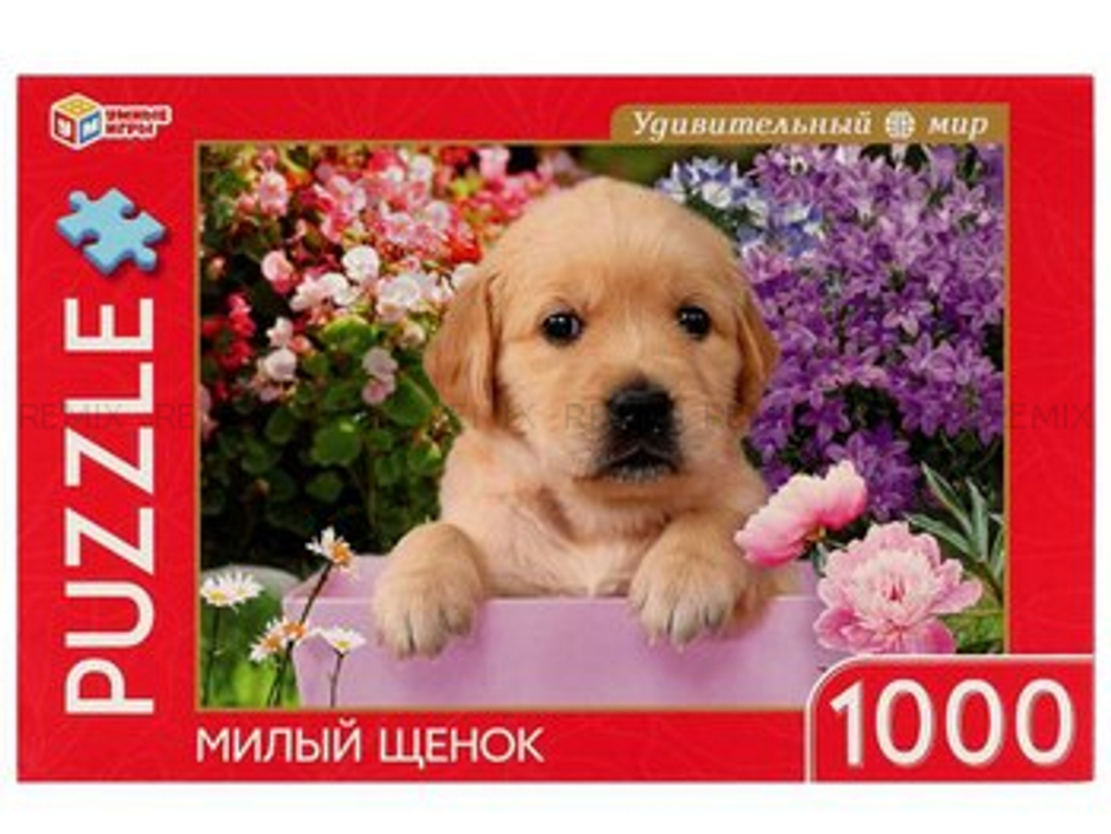Милый щенок.Пазл классический в коробке 1000 деталей . Умные игры в кор.10шт
