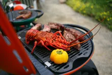 Портативный газовый гриль O-Grill 900MT bicolor black-cream + адаптер А, 1 горелка