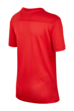 Футболка Nike Dry Park VII SS Junior