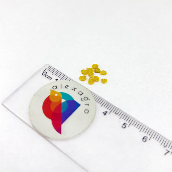 ЕЛЛОУ ЗУППА F1 семена перца сладкого Rijk Zwaan характеристика – фото 6