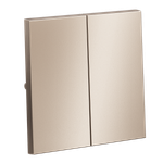 Клавиши для выключателя/переключателя двухклавишного, S70 Metal (платина)