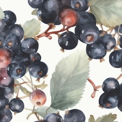 Черная смородина, акварельный узор