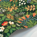 Rifle Paper Co. Second Edition