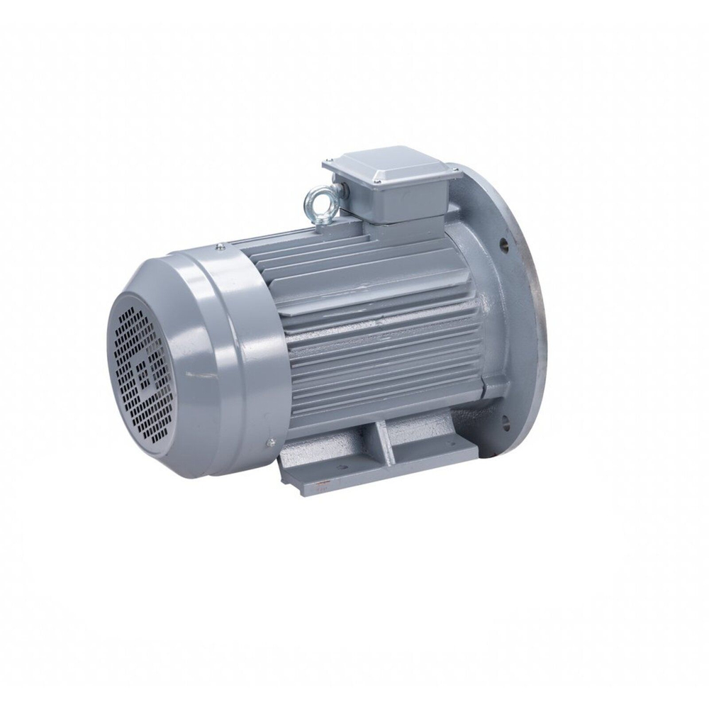 Электродвигатель ESQ PR 100 L2 GST-Б1-S12-IE2 5,5/3000 IM2081