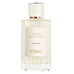 Cedrus Chloé