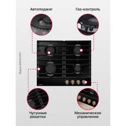 Газовая панель Hansa BHGA610791