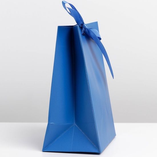 Пакет подарочный с лентой «Синий», 13 × 19 × 9 см 7303869