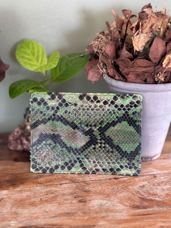 Обложка на паспорт из кожи питона AC-143