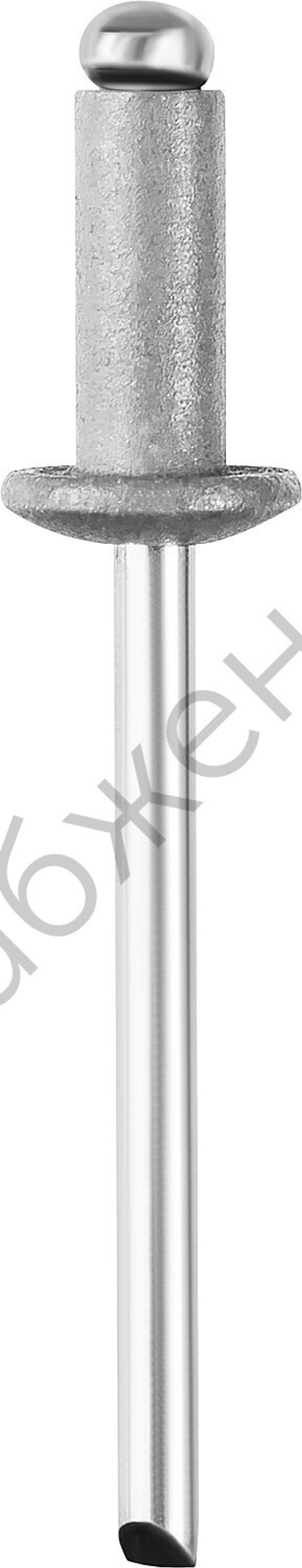 STAYER Color-FIX 3.2 х 8 мм, белый, алюминиевые заклепки, 50 шт, Professional (3125-32-9003)