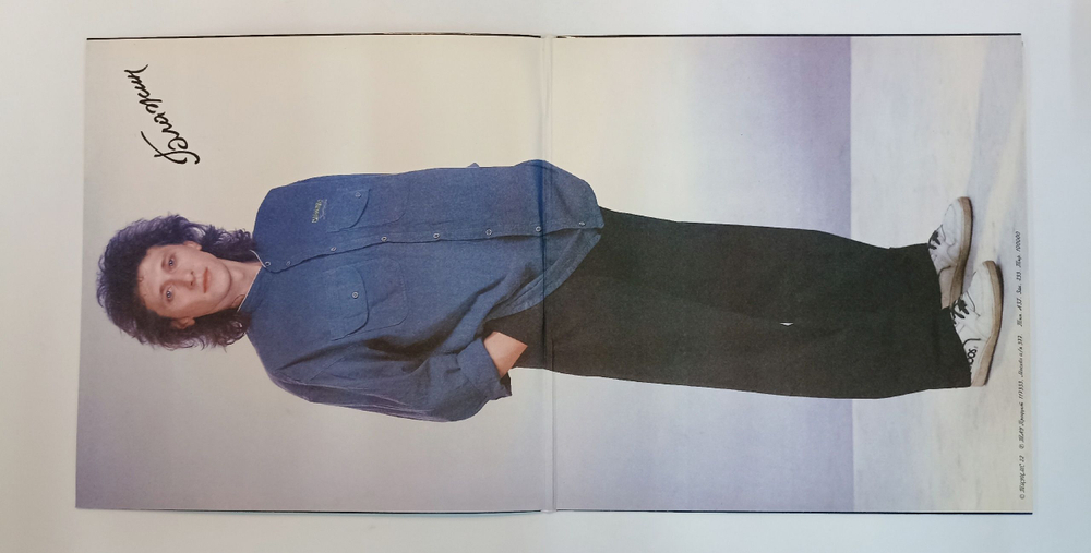 Винтажная виниловая пластинка LP Владимир Блажин Любимая Девушка (Россия 1992)