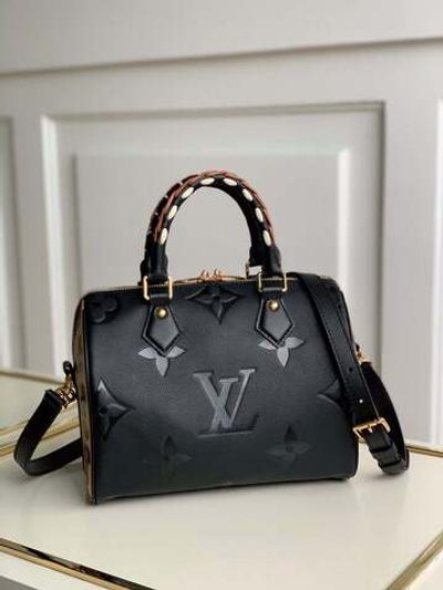 Louis Vuitton Speedy 25