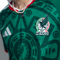 Мексика / Домашняя / Игровая