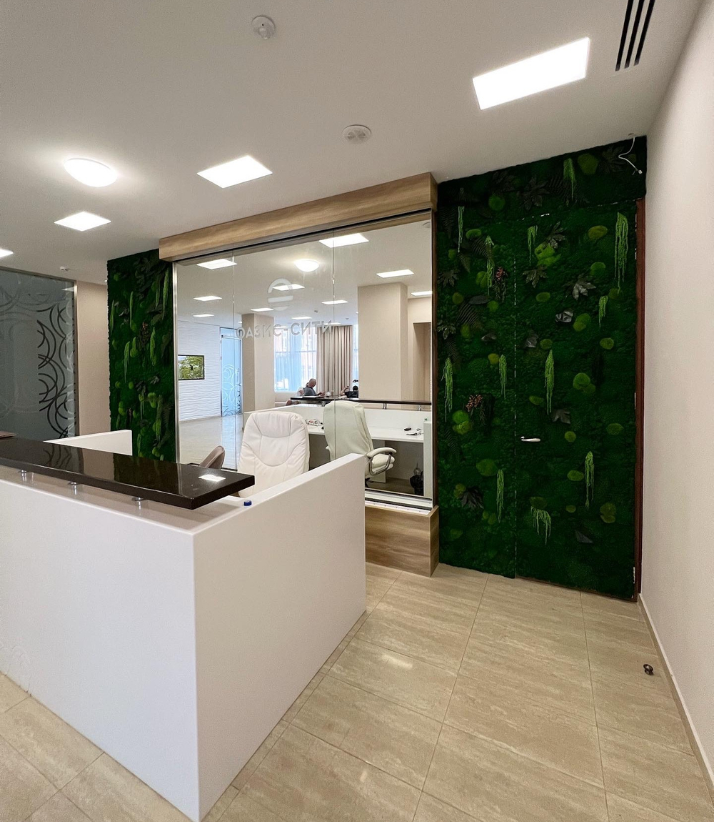 Вертикальное озеленение стабилизированным мхом и растениями офиса компании «Оазис-Сити»