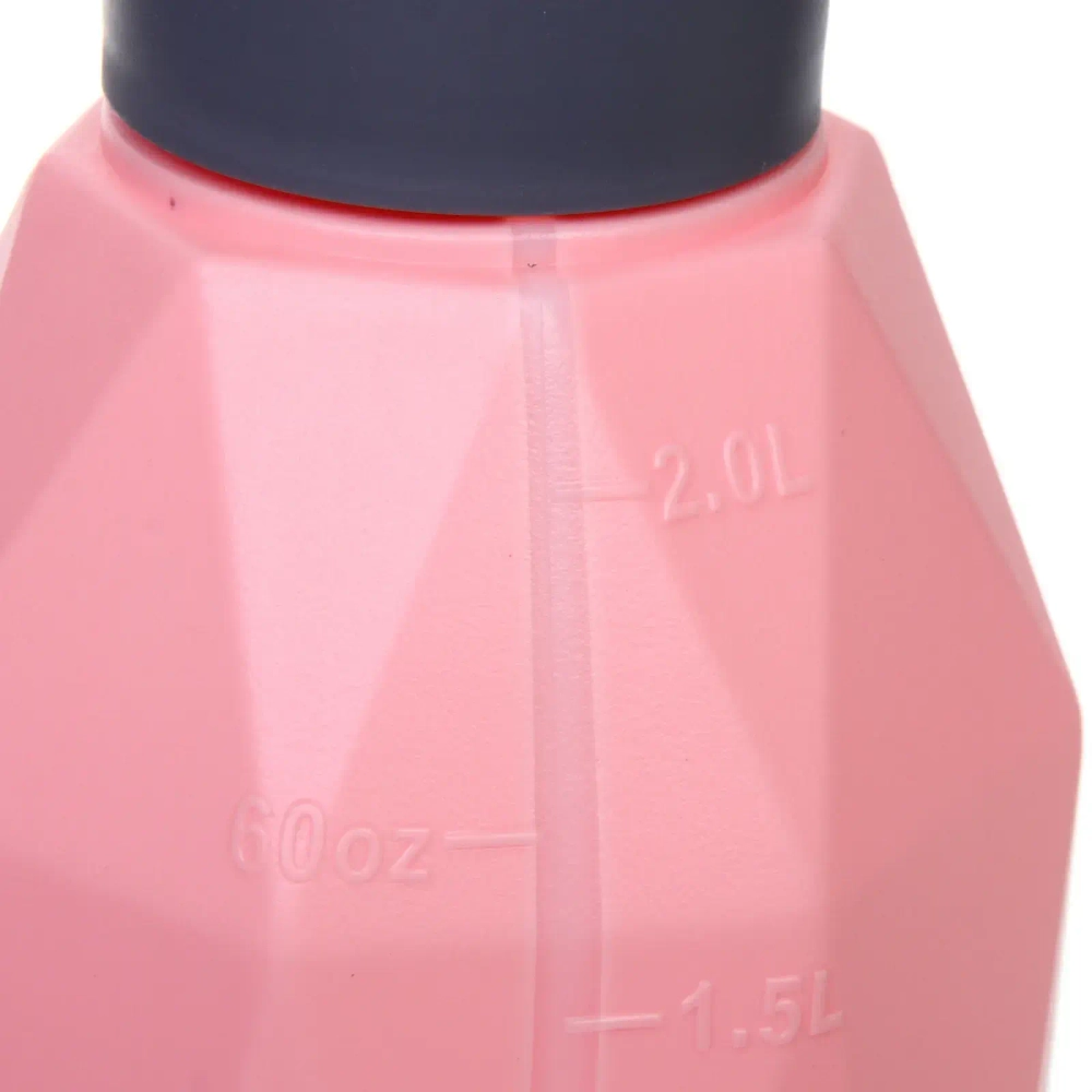 Опрыскиватель аккумуляторный 2л цвет розовый USB QW1A