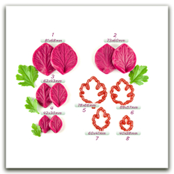 Листья хризантемы. Набор 1