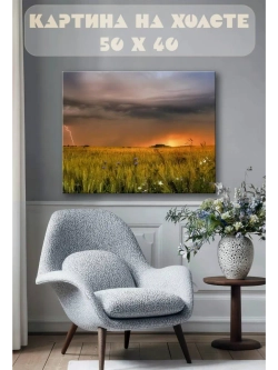 Картина на стену 40 X 50 Поле закат