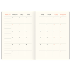 Ежедневник датированный 2026г., А5, 176л., твердый переплет, кожзам, BG "Horse. Pearl", цветной срез, с резинкой, карман DdА5_09395