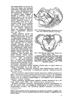 Оперативное акушерство | М.С. Малиновский